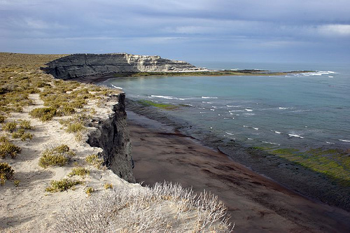 peninsule valdes en argentine