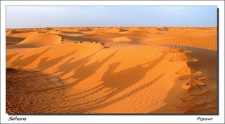 Sahara en Tunisie