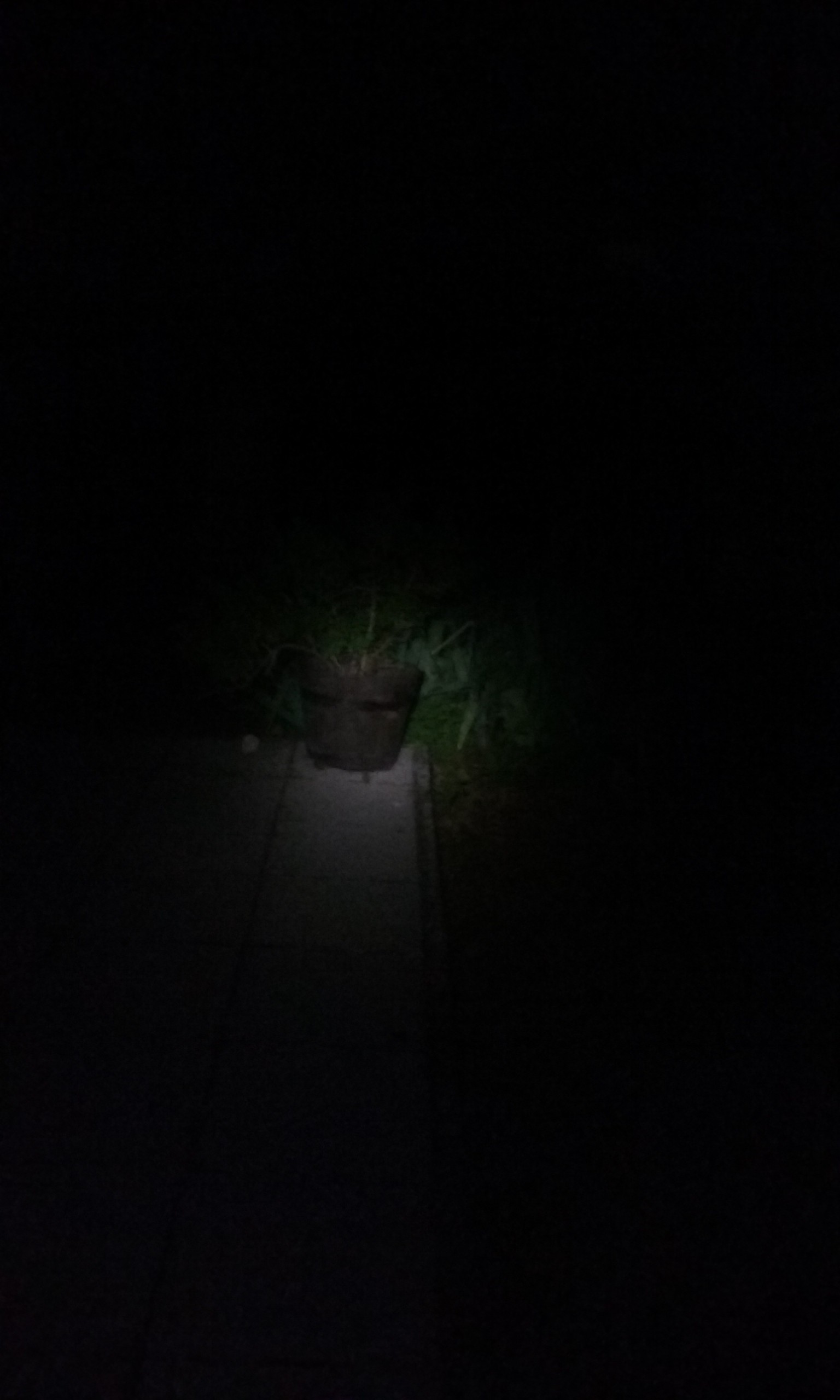 Test de la lampe de poche à l'extérieur en pleine nuit