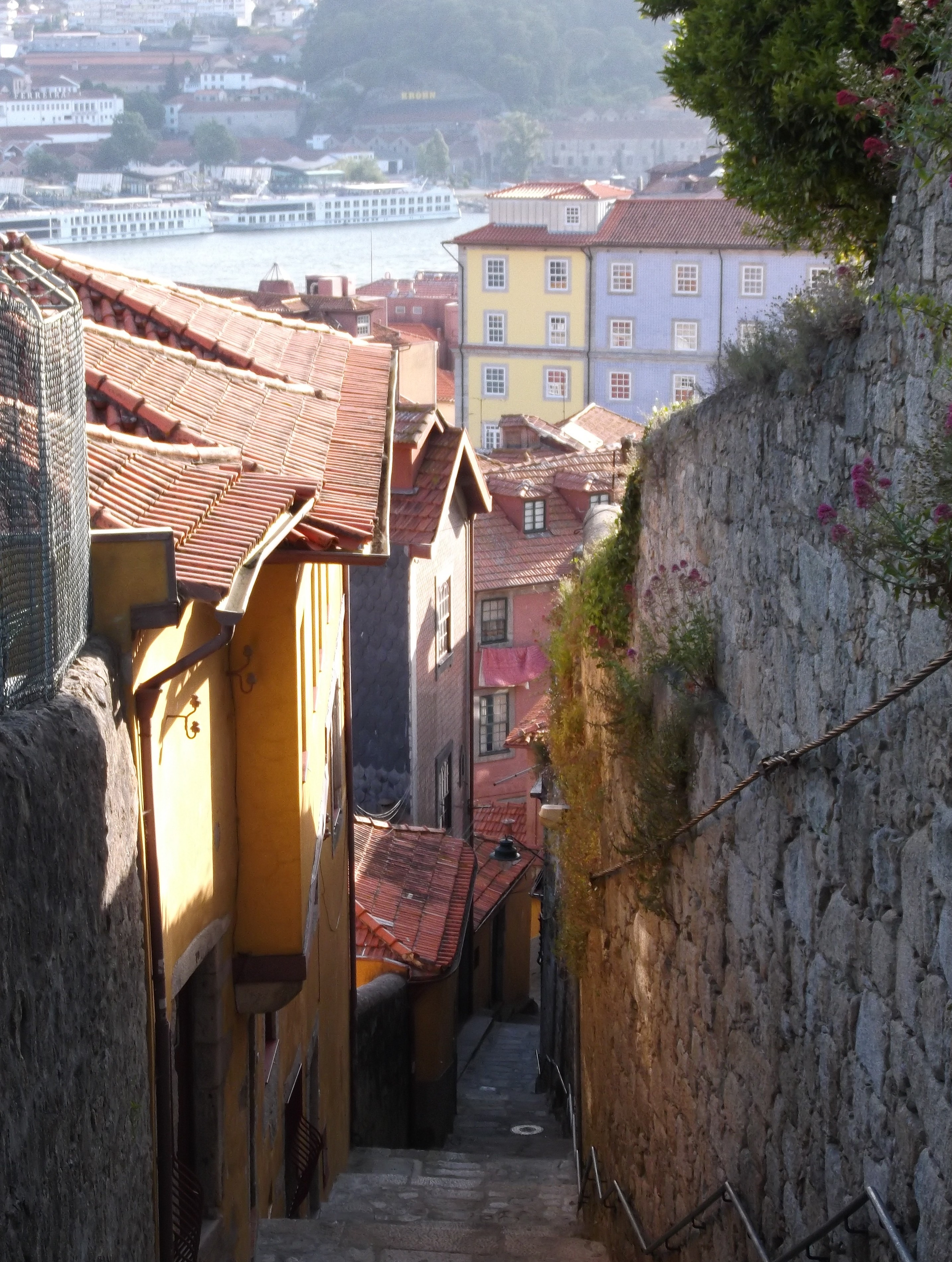 ruelle Porto