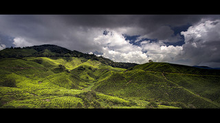 Cameron Highlands Malaisie