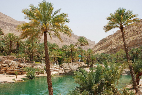 Oasis à Oman