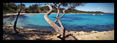 Plage d'Argent à Porquerolles