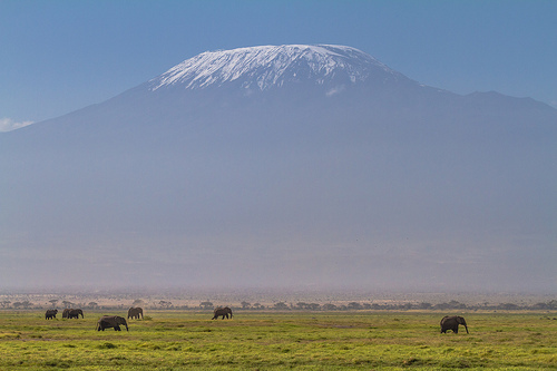 Le Kilimandjaro