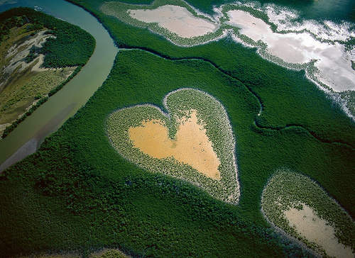 Photo issue du documentaire Home de Yann Arthus Bertrand