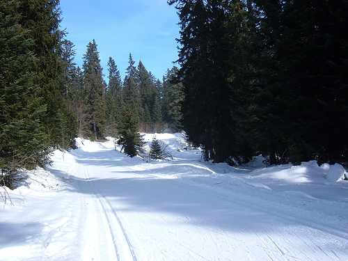 Piste de ski à La Feclaz