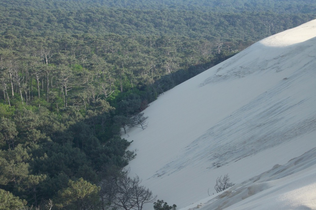 La dune du Pilat