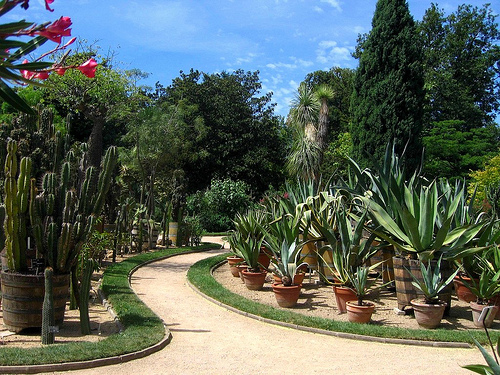 Le jardin des plantes au Parc de la Tete d'Or