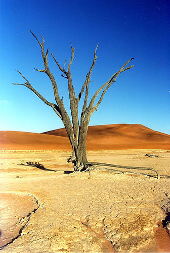 Désert en Namibie