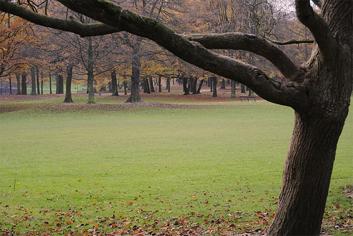 Le Bois de la Cambre à Bruxelles