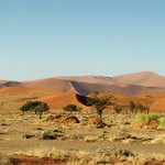 La Namibie : une destination idéale pour faire un voyage authentique en Afrique