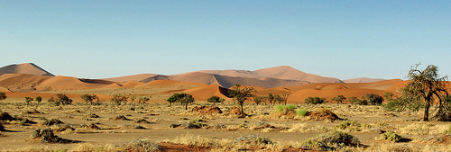 Sossusvlei en Namibie