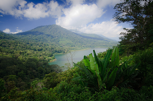 Trek à Bali (Tamblingan)