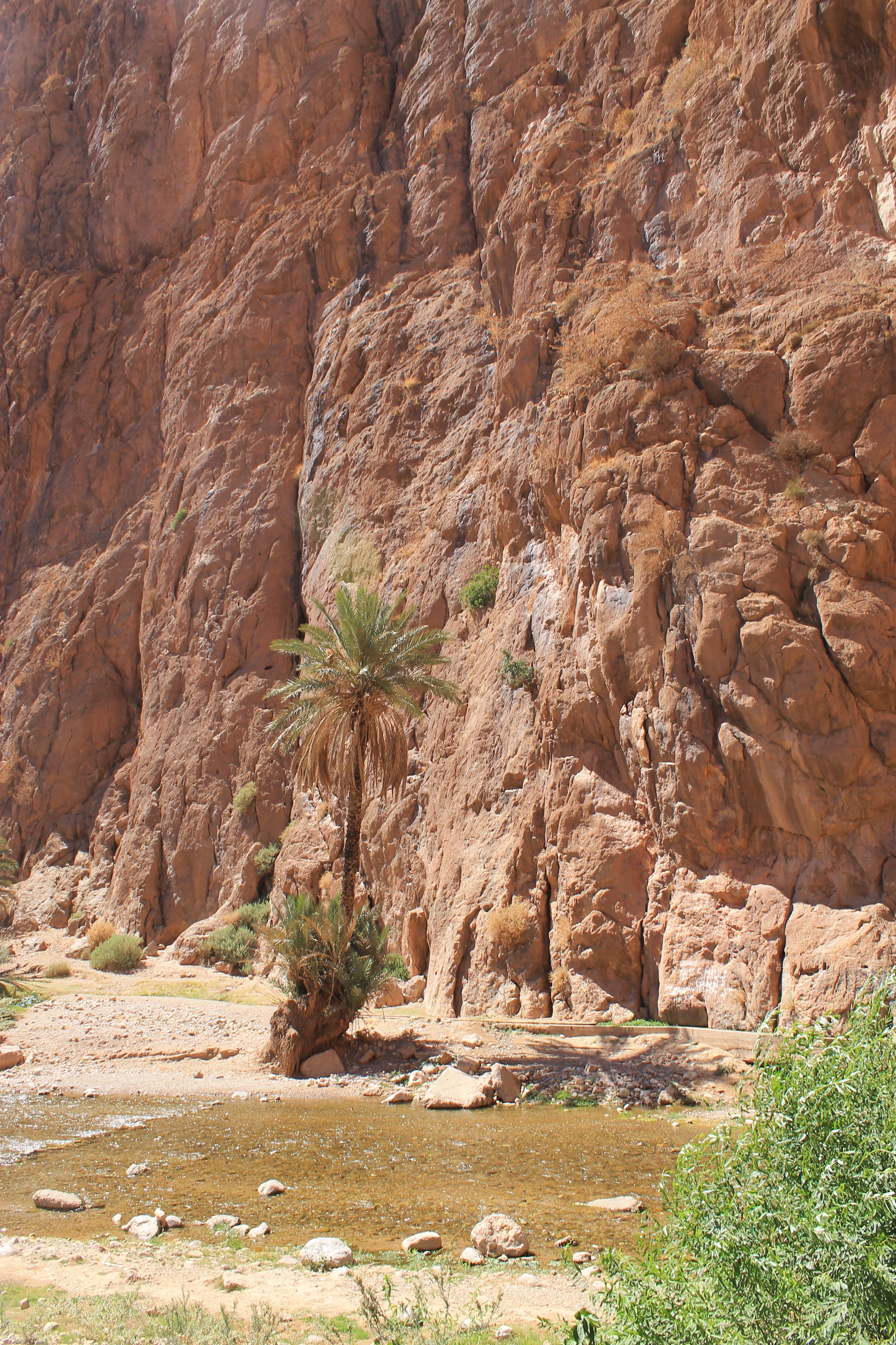 Les gorges du Todra