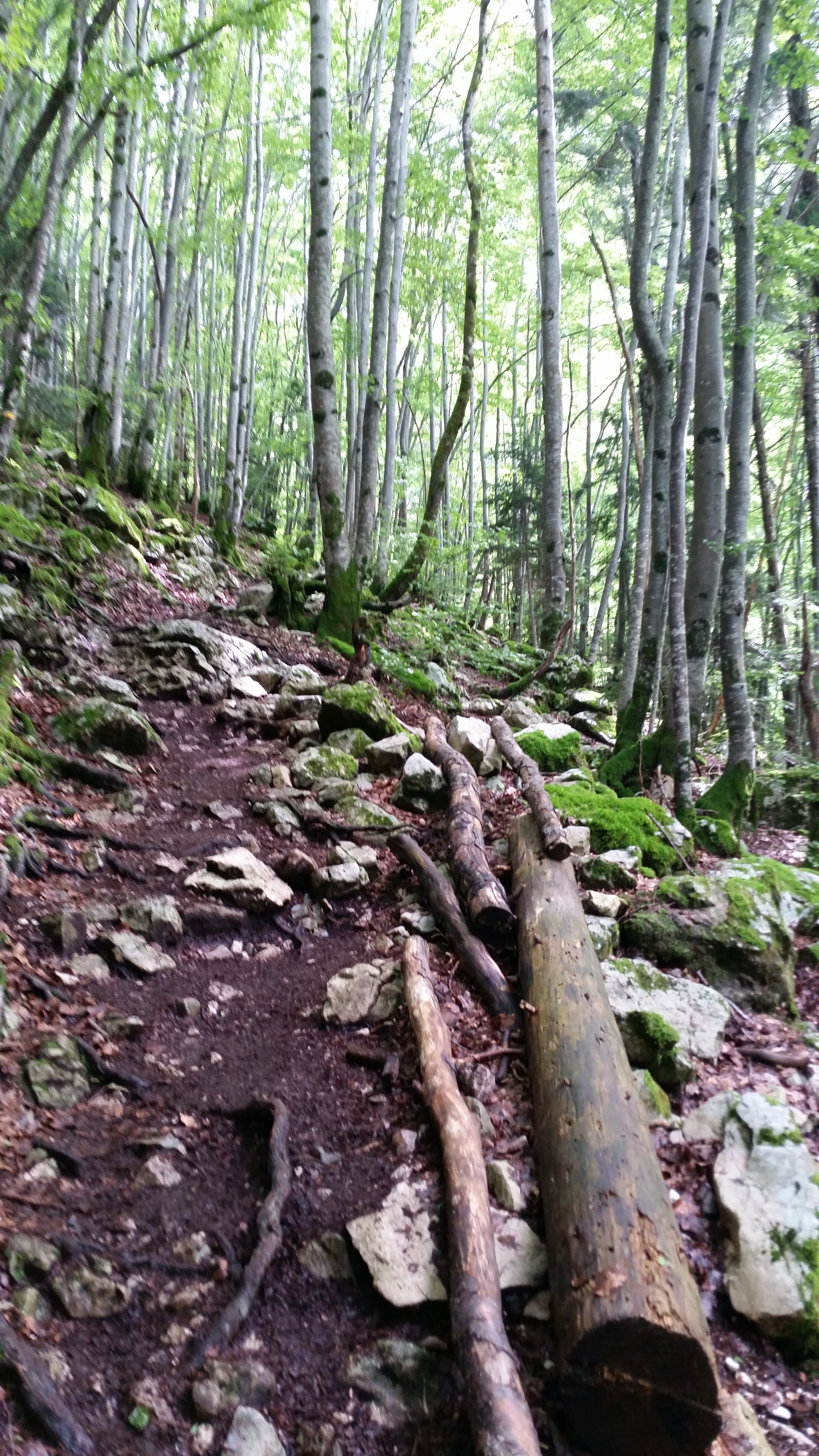 La chemin qui permet l'accès à la Grande Cascade