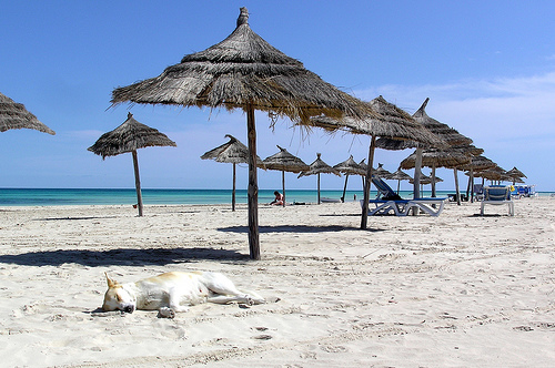 La plage de Djerba