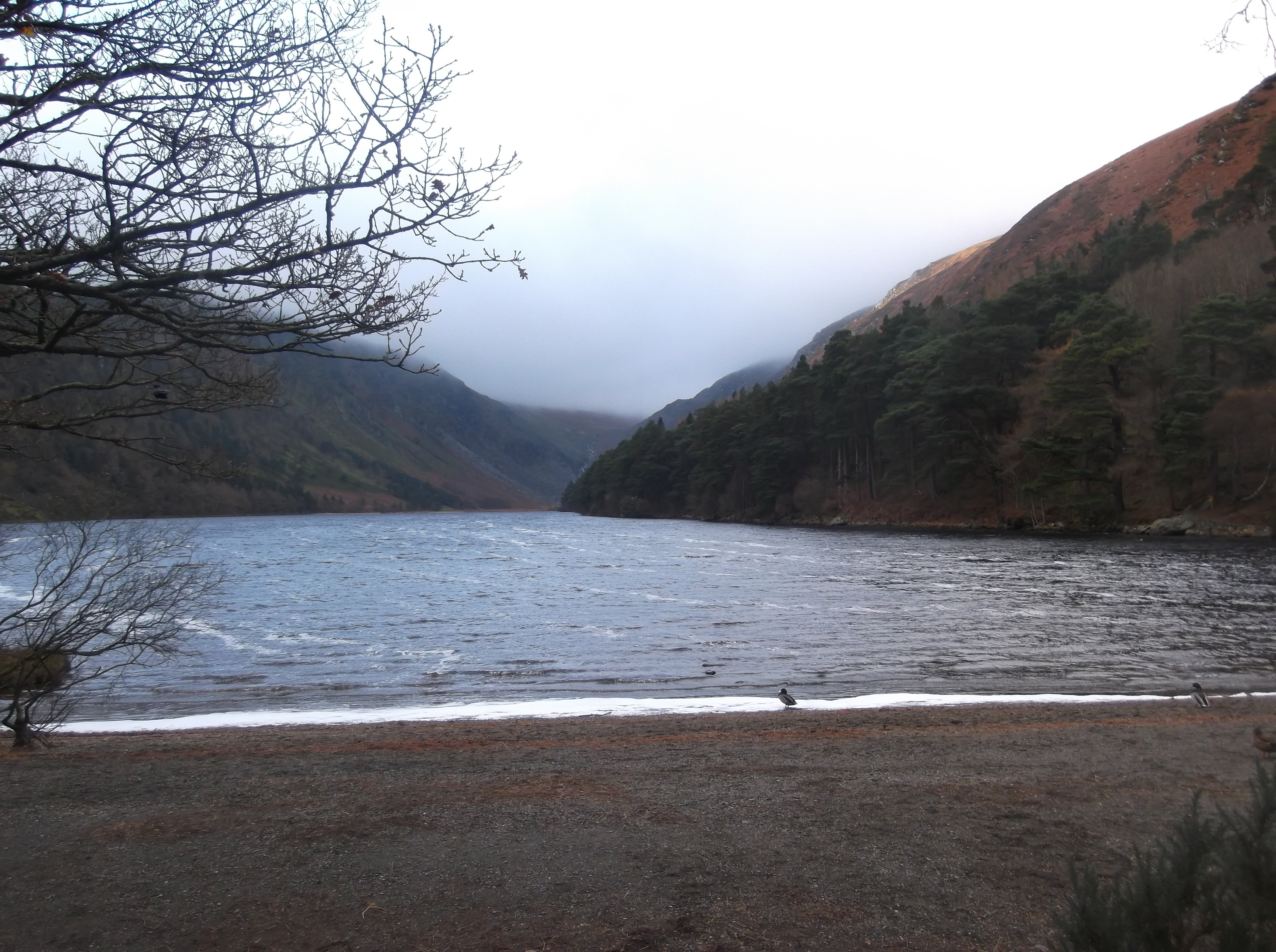 Lac de Glendalough dans les Wicklow