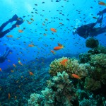 8 spots de plongée incontournables en France, en Europe et dans le monde