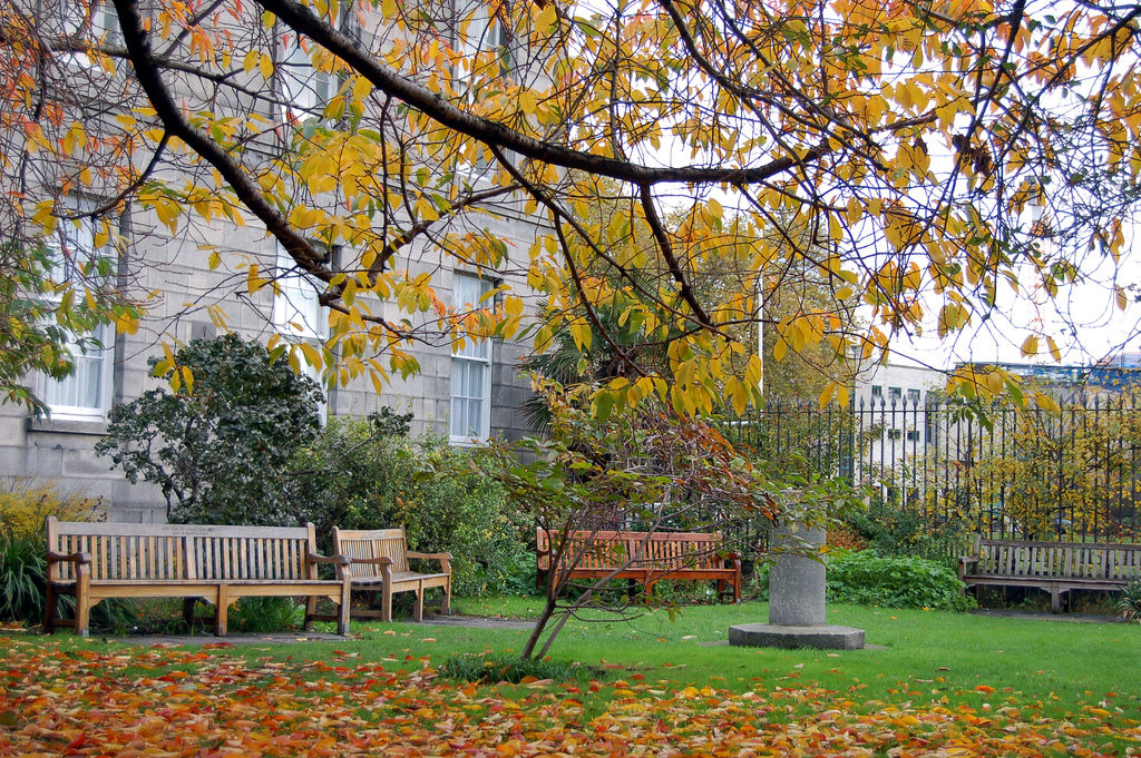 Trinity College de Dublin