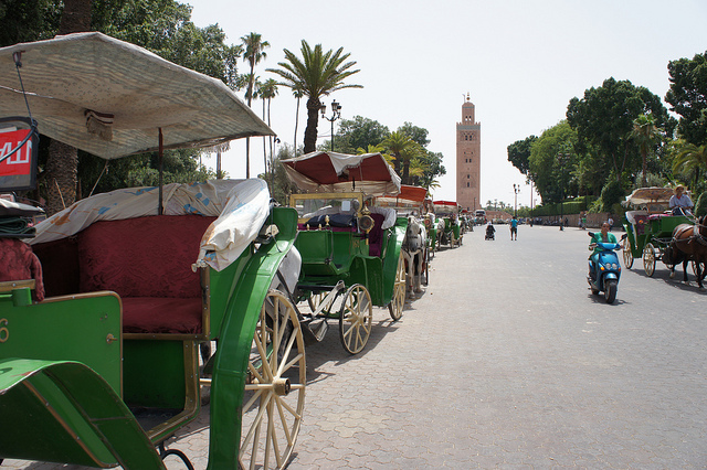 Calèches au Maroc