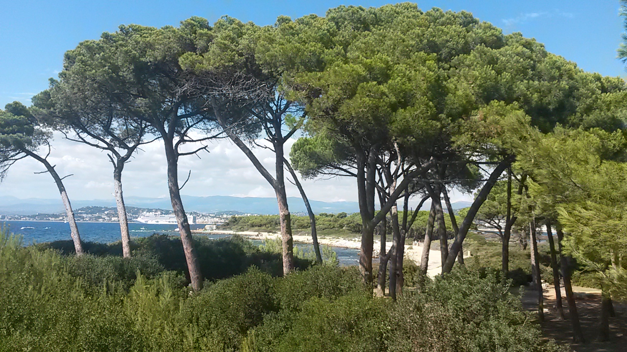 Ile Sainte Marguerite au large de Cannes