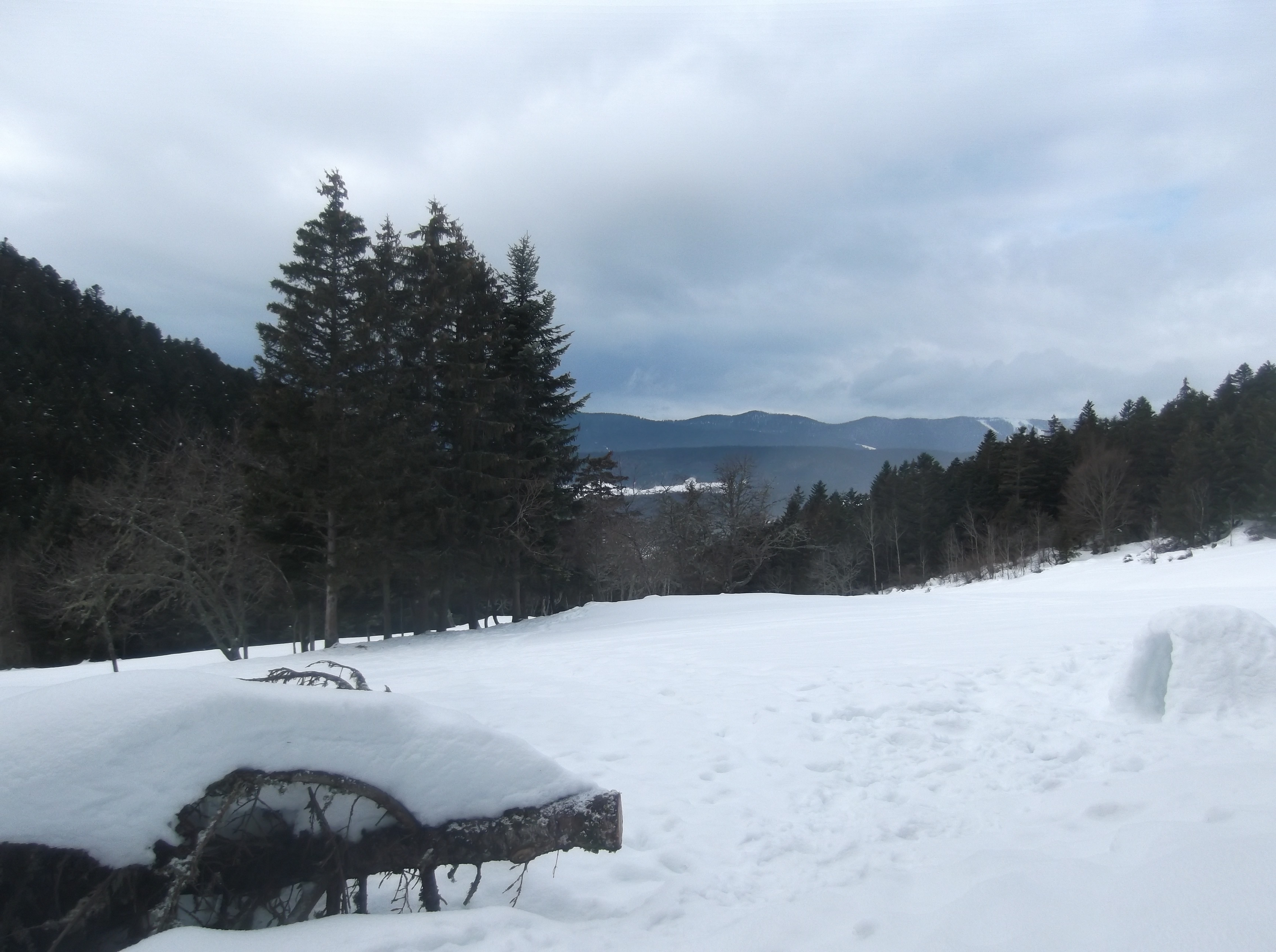 Un espace nature à la montagne