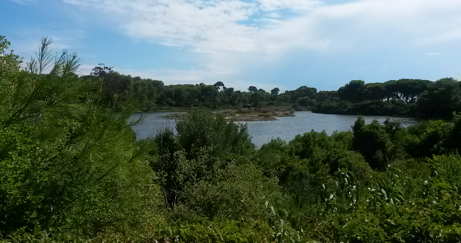 Lac de l'île Sainte Marguerite