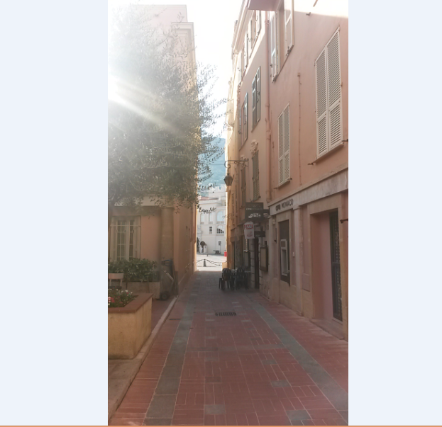 Ruelle à Monaco avec le Palais à l'arrière