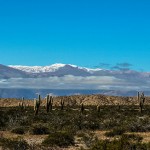 Voyager en Argentine : notre sélection de 8 incontournables