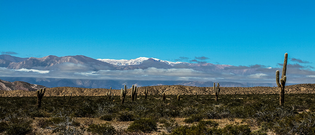 Parque Nacional Los Cardones - Cafayate - Argentine