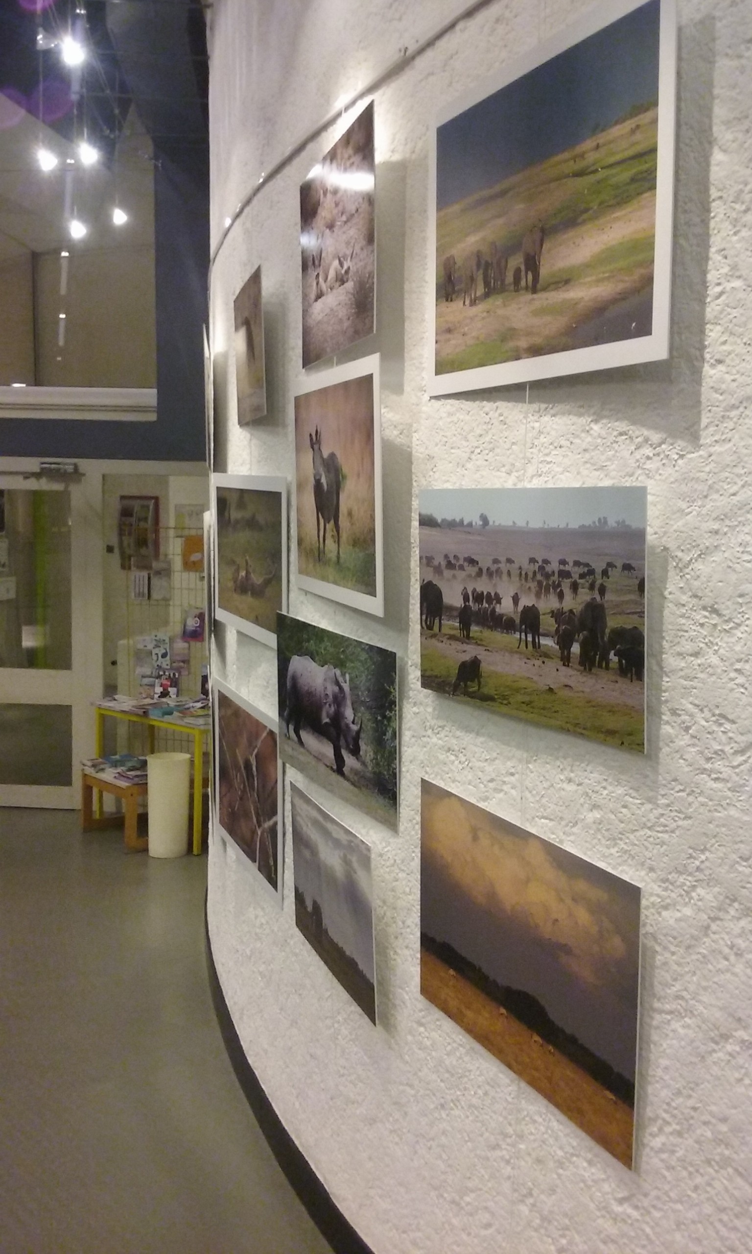 Aperçu de photographies exposées