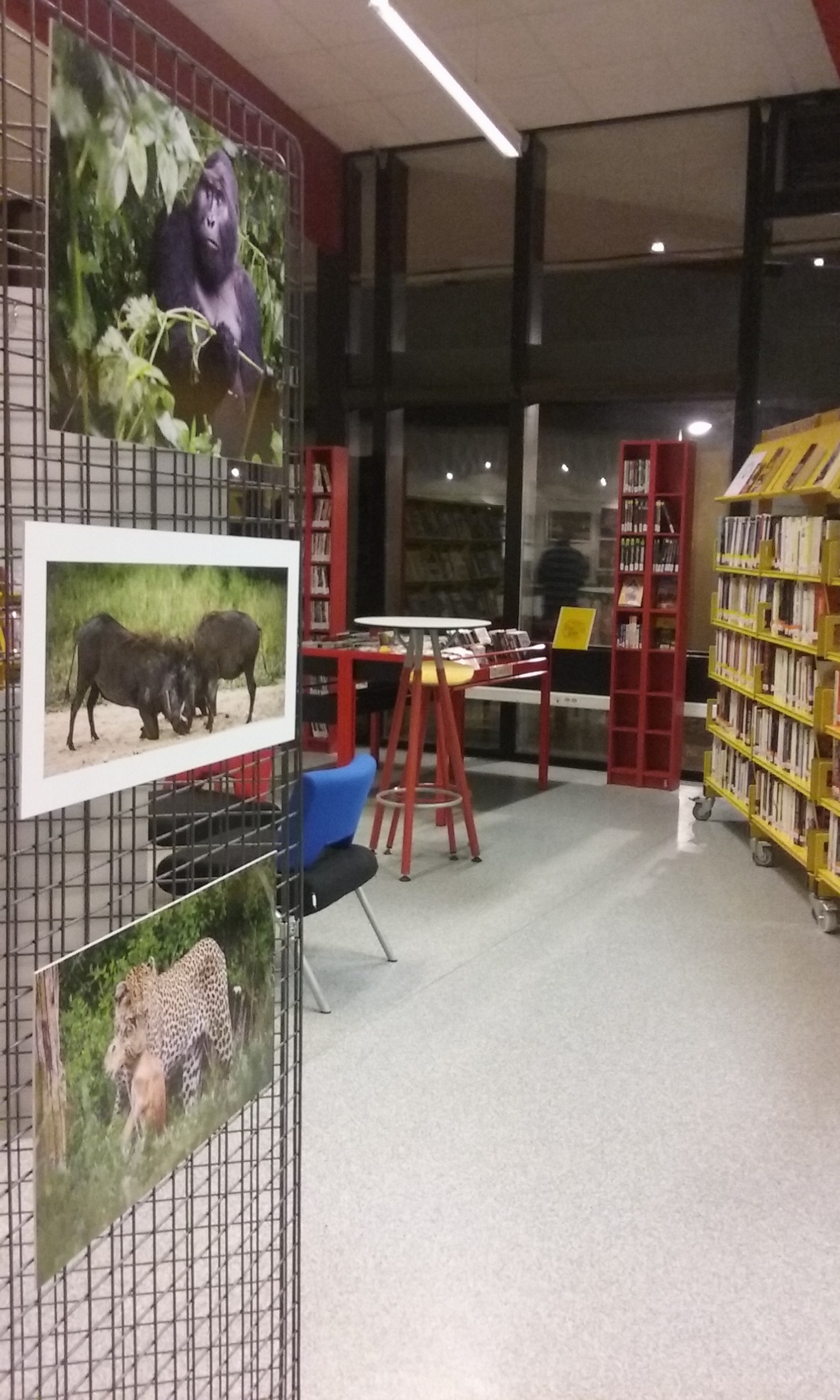 Expo photo au cœur de la bibliothèque