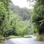 Le guide pratique de la location de voiture en Martinique