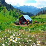 Camping dans les montagnes du Caucase