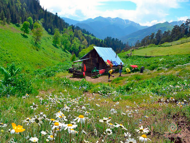 Borjomi