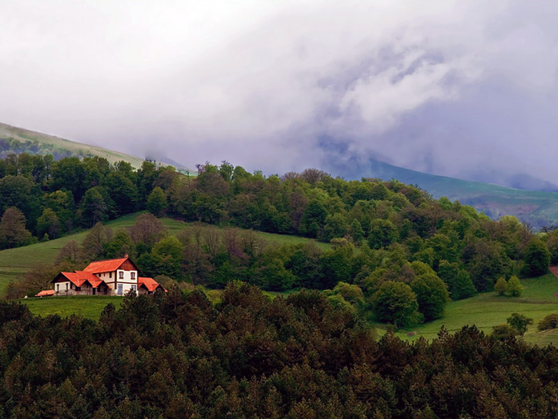 Dilijan