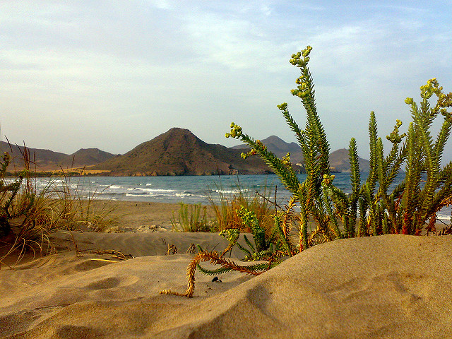 Los Genoveses - Cabo de Gata-Nijar