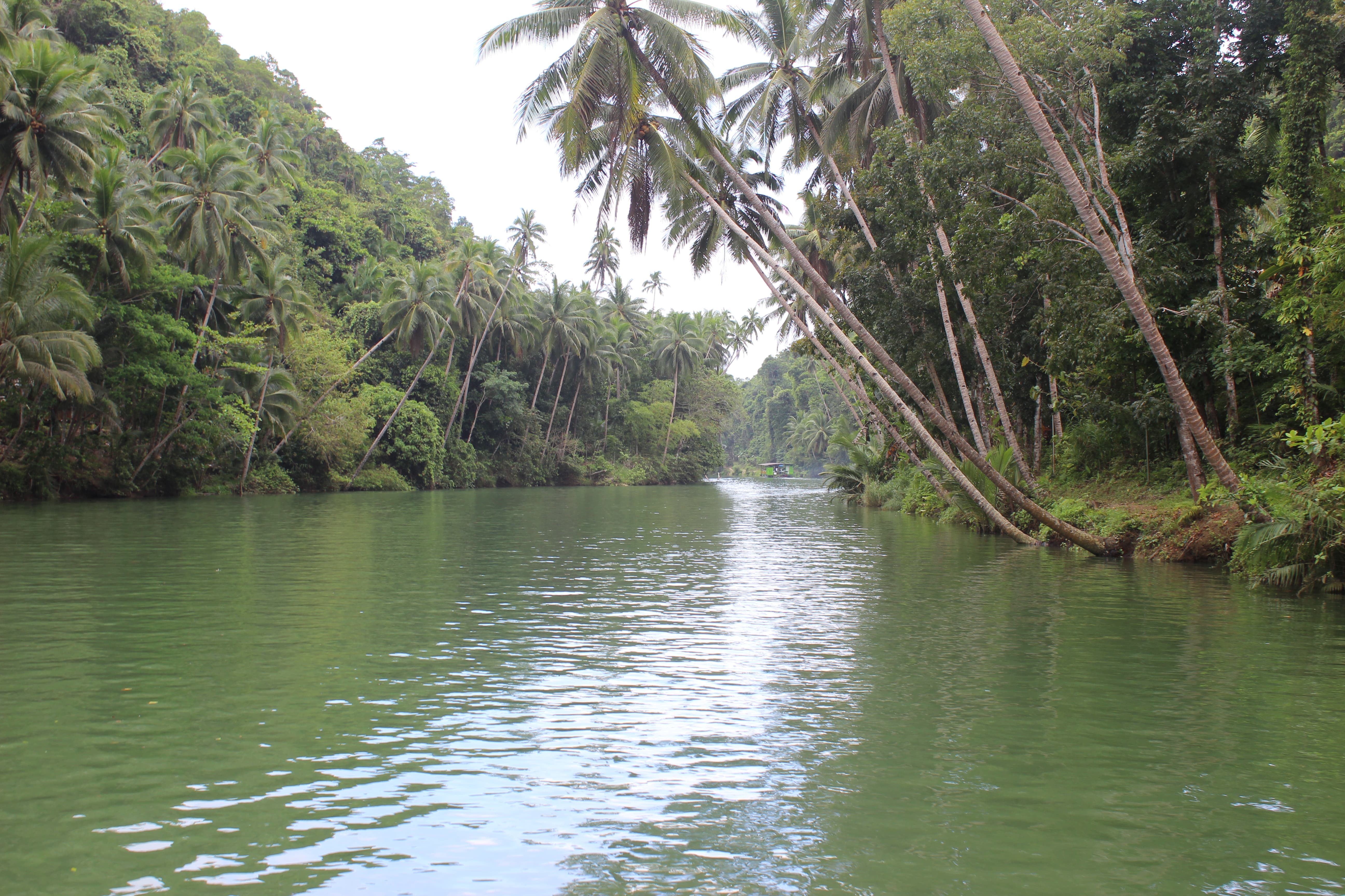 Croisière sur la rivière Loboc