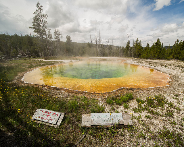 Yellowstone