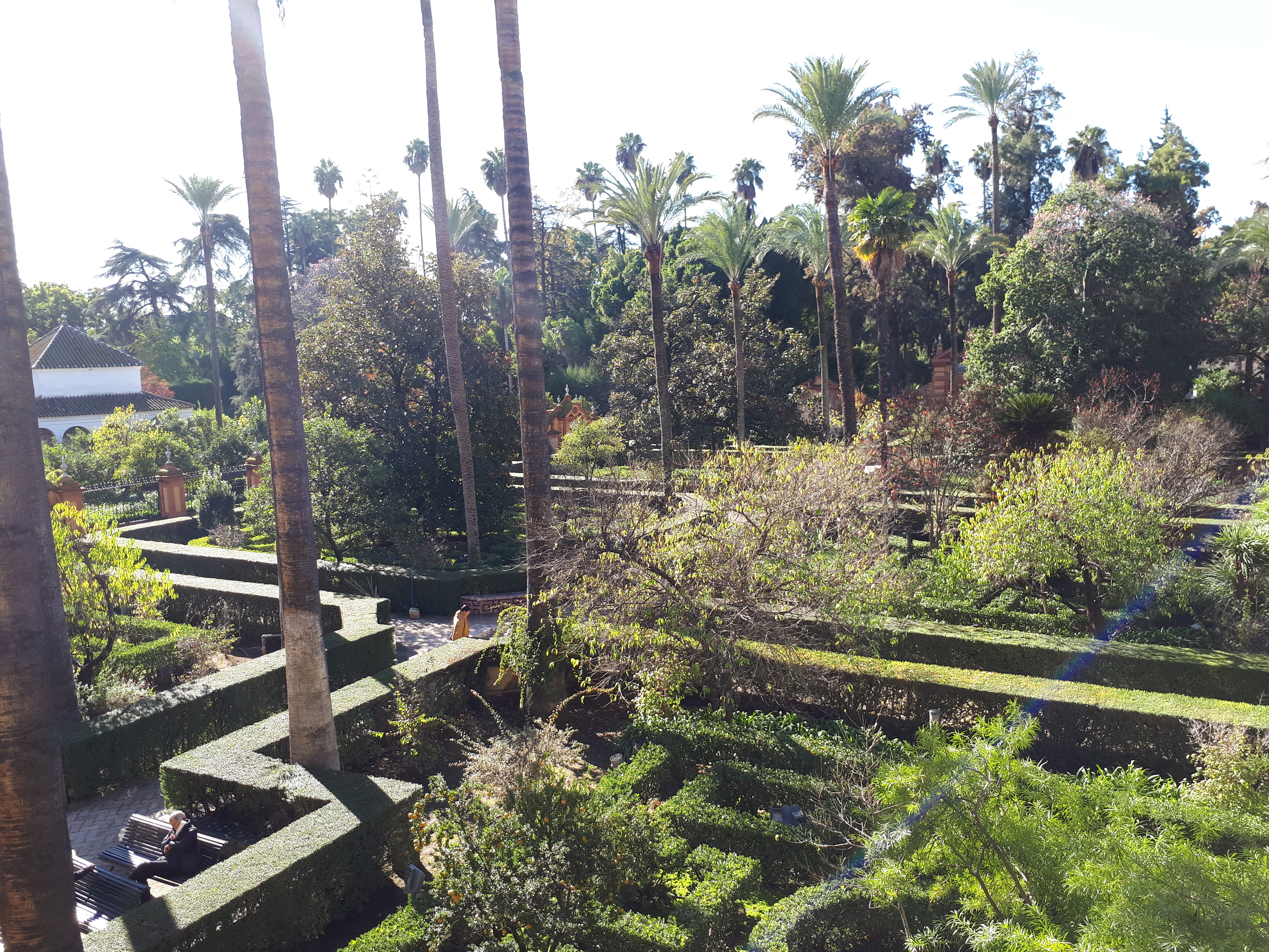 Les jardins de l'Alcazar - Séville