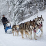 10 idées d'activités à pratiquer en montagne en hiver, et sans ski !