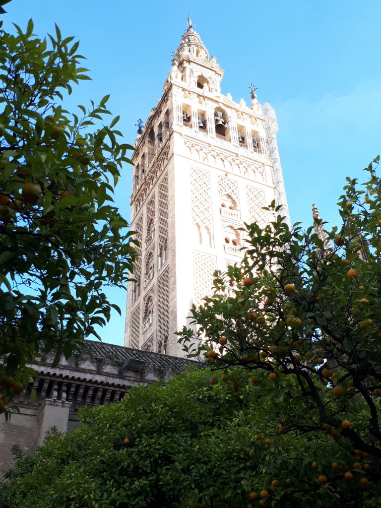 La Giralda - Séville