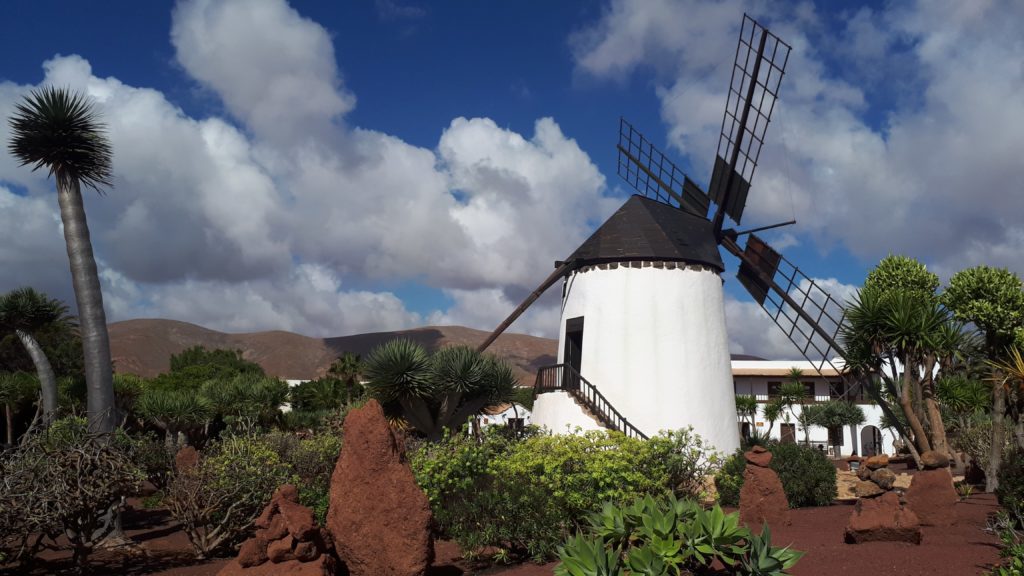 Moulin à vent et jardin du Museo del Queso Majorero