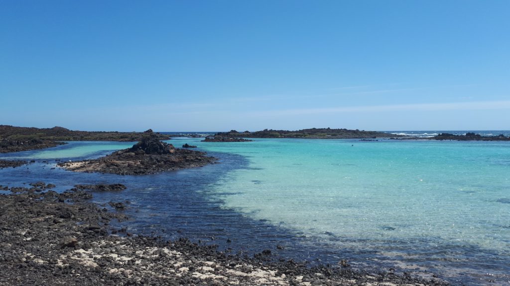 Lagon de Isla de Lobos