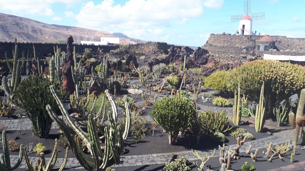 Jardin de cactus de Guatiza - Lanzarote