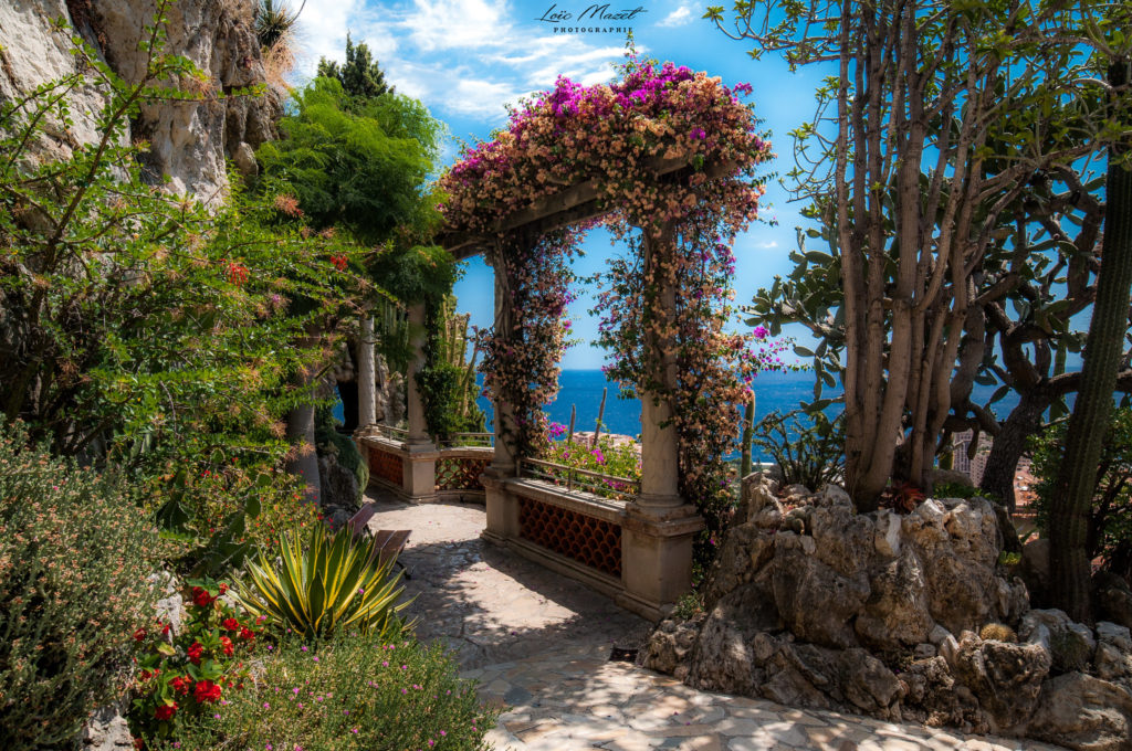 Jardin exotique de Monaco