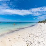 Visiter Zanzibar : que voir et faire