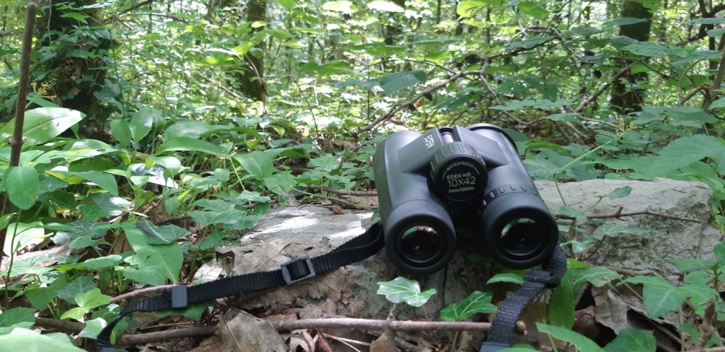 Jumelles Eden HD 10x42 en forêt posées sur un rocher