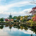 Que faire et que voir pendant votre voyage au Japon ?
