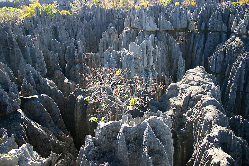 Parc national des Tsingy de Bemaraha